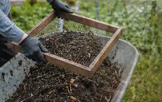 Behandschuhte Hände sieben reifen Kompost über einer Gartenschubkarre; Thema Bohnen, Schwerpunkt Lagerung; Ausgangslage.