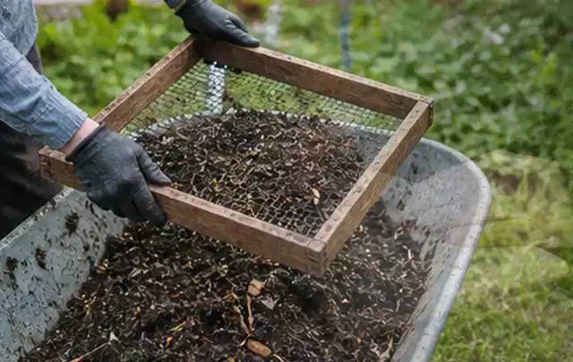 Behandschuhte Hände sieben reifen Kompost über einer Gartenschubkarre; Thema Bohnen, Schwerpunkt Saisonkalender; Praxisalltag.