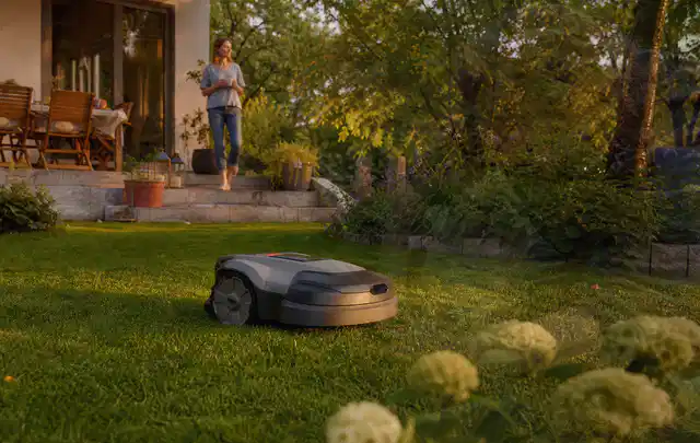 Mähroboter fährt am Abend über einen Rasen im Familiengarten; Thema Bosch Indego, Schwerpunkt Anwendung; Ausgangslage.