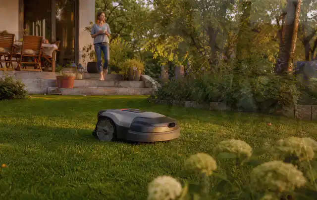Mähroboter fährt am Abend über einen Rasen im Familiengarten; Thema Bosch Indego, Schwerpunkt Checkliste; Ergebnis.