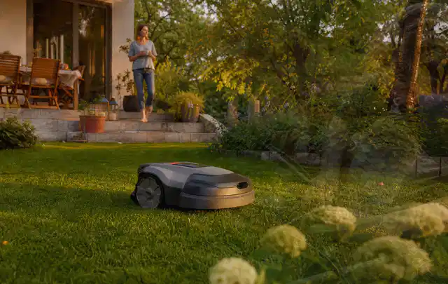 Mähroboter fährt am Abend über einen Rasen im Familiengarten; Thema Bosch Indego, Schwerpunkt Dimensionierung; Ergebnis.