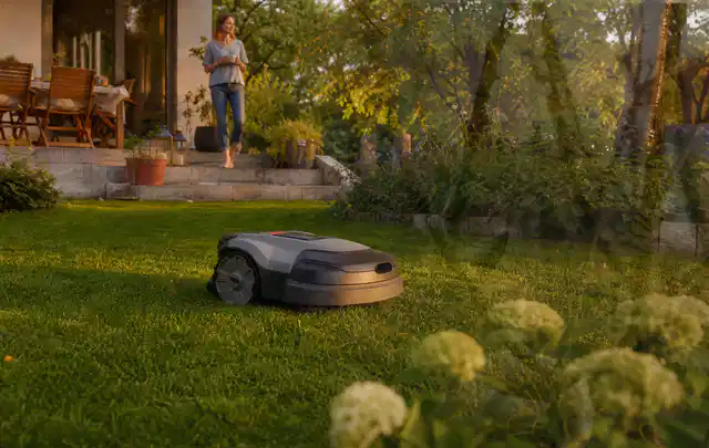 Mähroboter fährt am Abend über einen Rasen im Familiengarten; Thema Bosch Indego, Schwerpunkt Fehlerhilfe; Praxisalltag.