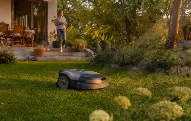 Mähroboter fährt am Abend über einen Rasen im Familiengarten; Thema Bosch Indego, Schwerpunkt Gärten mit großer Fläche; Umsetzung.