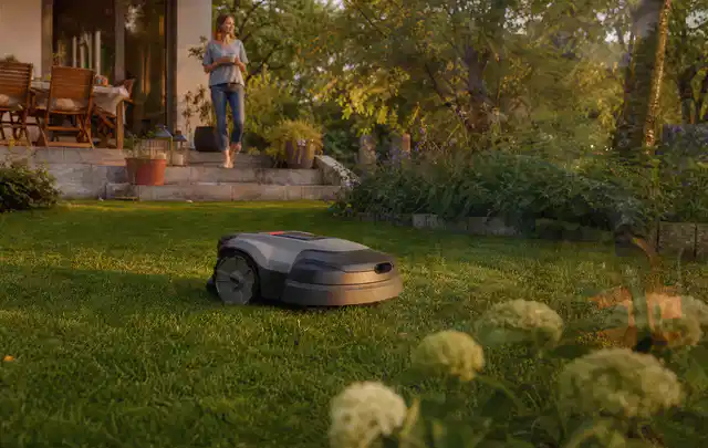 Mähroboter fährt am Abend über einen Rasen im Familiengarten; Thema Bosch Indego, Schwerpunkt Kosten; Ergebnis.