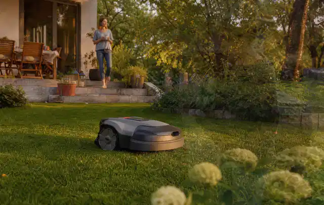 Mähroboter fährt am Abend über einen Rasen im Familiengarten; Thema Bosch Indego, Schwerpunkt Mähroboter; Ausgangslage.