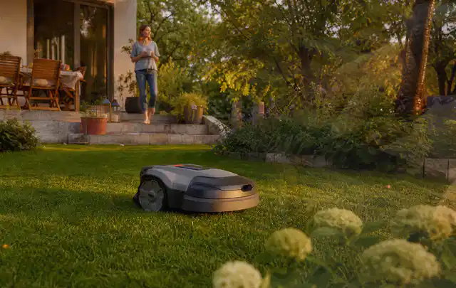 Mähroboter fährt am Abend über einen Rasen im Familiengarten; Thema Bosch Indego, Schwerpunkt Nachhaltigkeit; Kontrolle.