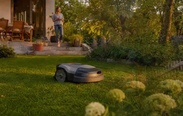 Mähroboter fährt am Abend über einen Rasen im Familiengarten; Thema Bosch Indego, Schwerpunkt Systemvergleich; Praxisalltag.