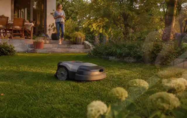 Mähroboter fährt am Abend über einen Rasen im Familiengarten; Thema Bosch Indego, Schwerpunkt Testkriterien; Kontrolle.