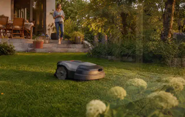 Mähroboter fährt am Abend über einen Rasen im Familiengarten; Thema Bosch Indego, Schwerpunkt Vergleich; Ergebnis.