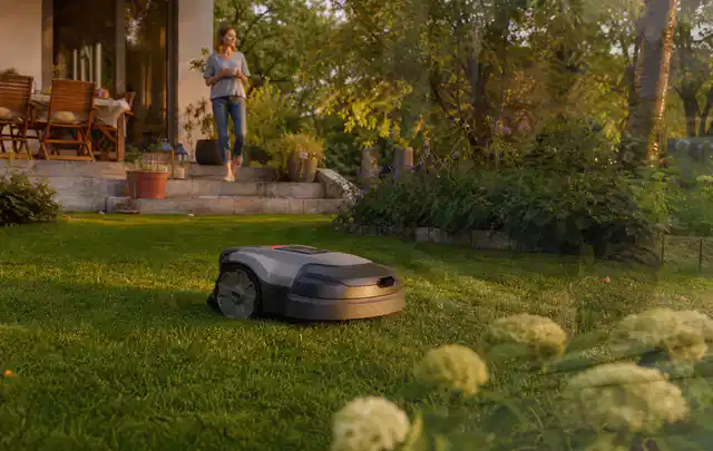 Mähroboter fährt am Abend über einen Rasen im Familiengarten; Thema Bosch Indego, Schwerpunkt Wartung; Kontrolle.