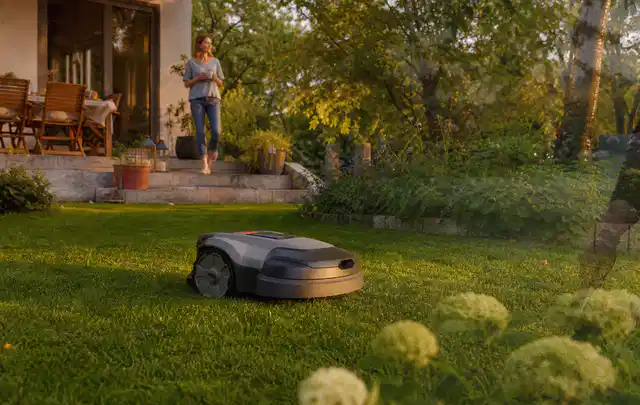 Mähroboter fährt am Abend über einen Rasen im Familiengarten; Thema Bosch Indego, Schwerpunkt Winterlager; Ausgangslage.