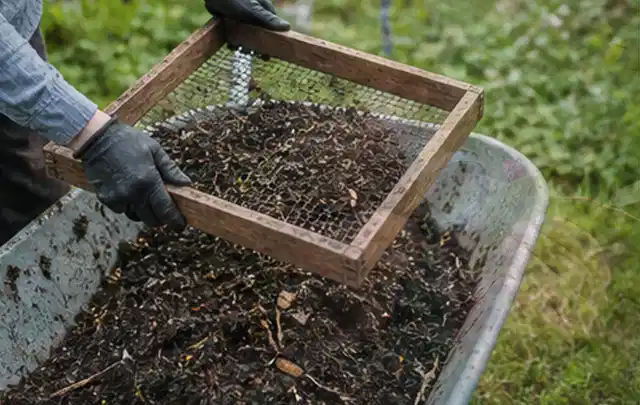 Behandschuhte Hände sieben reifen Kompost über einer Gartenschubkarre; Thema Brokkoli, Schwerpunkt Balkongarten; Kontrolle.