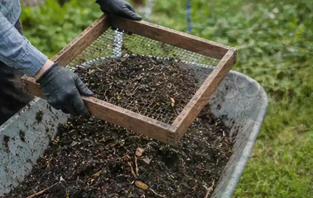 Behandschuhte Hände sieben reifen Kompost über einer Gartenschubkarre; Thema Brokkoli, Schwerpunkt Hochbeet; Ausgangslage.
