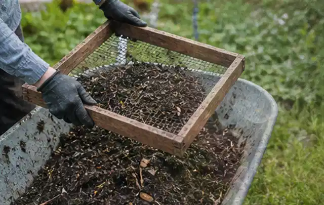 Behandschuhte Hände sieben reifen Kompost über einer Gartenschubkarre; Thema Brokkoli, Schwerpunkt Standort; Umsetzung.