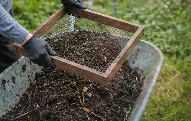 Behandschuhte Hände sieben reifen Kompost über einer Gartenschubkarre; Thema Brombeeren, Schwerpunkt Balkongarten; Praxisalltag.