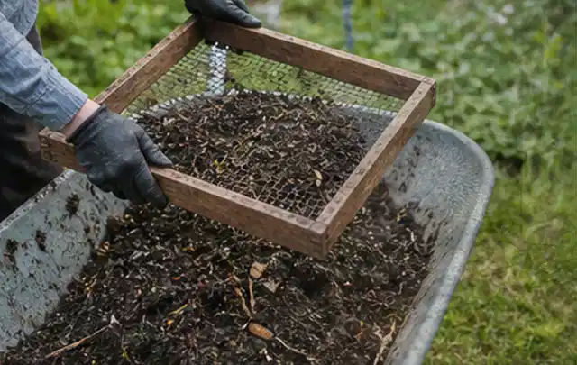 Behandschuhte Hände sieben reifen Kompost über einer Gartenschubkarre; Thema Brombeeren, Schwerpunkt Fehlerhilfe; Praxisalltag.