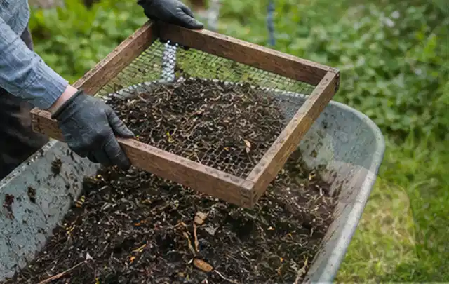 Behandschuhte Hände sieben reifen Kompost über einer Gartenschubkarre; Thema Brombeeren, Schwerpunkt Schnitt; Praxisalltag.