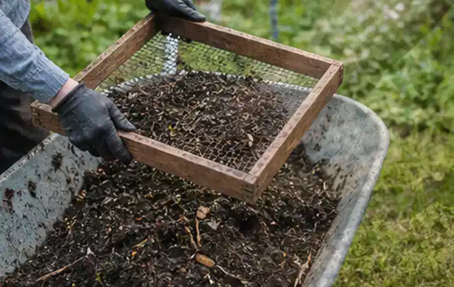 Behandschuhte Hände sieben reifen Kompost über einer Gartenschubkarre; Thema Brombeeren, Schwerpunkt Standort; Ausgangslage.