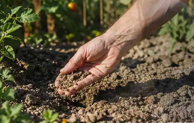 Hand prüft trockene krümelige Gartenerde während einer warmen Sommerphase; Thema Checklisten, Schwerpunkt Ratgeber; Umsetzung.