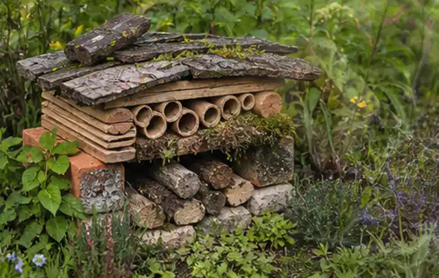 Naturnaher Unterschlupf aus Holz Rinde und Pflanzenstängeln im Garten; Thema Dickmaulrüssler, Schwerpunkt Fehlerhilfe; Ausgangslage.