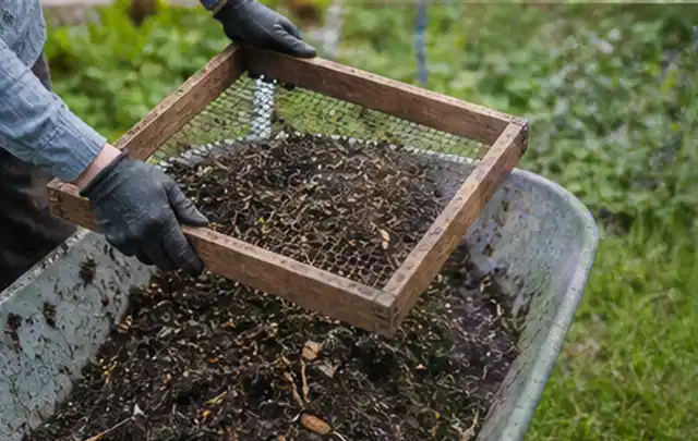 Behandschuhte Hände sieben reifen Kompost über einer Gartenschubkarre; Thema Dill, Schwerpunkt Anbau; Ergebnis.
