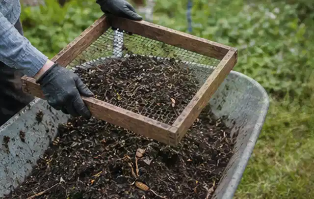 Behandschuhte Hände sieben reifen Kompost über einer Gartenschubkarre; Thema Dill, Schwerpunkt Balkongarten; Umsetzung.