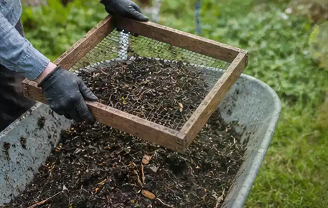 Behandschuhte Hände sieben reifen Kompost über einer Gartenschubkarre; Thema Dill, Schwerpunkt Boden; Ausgangslage.