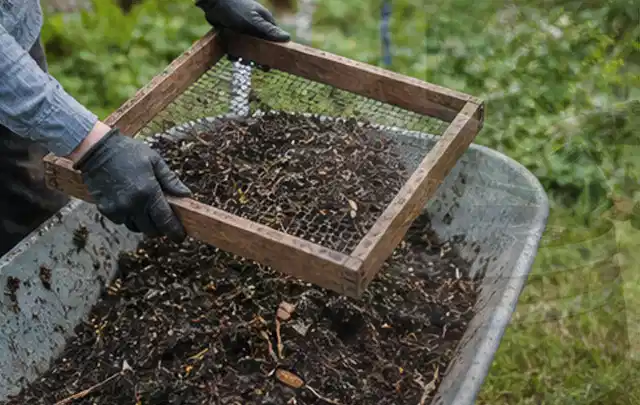 Behandschuhte Hände sieben reifen Kompost über einer Gartenschubkarre; Thema Dill, Schwerpunkt Einsteigerwissen; Kontrolle.