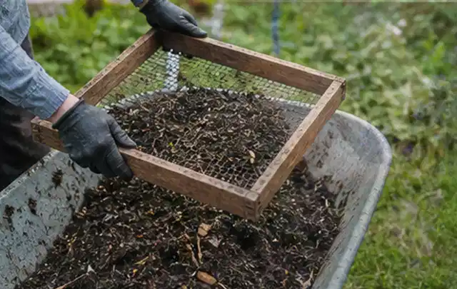 Behandschuhte Hände sieben reifen Kompost über einer Gartenschubkarre; Thema Dill, Schwerpunkt Gesundheit; Ergebnis.