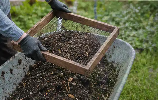 Behandschuhte Hände sieben reifen Kompost über einer Gartenschubkarre; Thema Dill, Schwerpunkt Lagerung; Umsetzung.