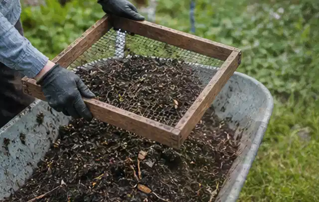 Behandschuhte Hände sieben reifen Kompost über einer Gartenschubkarre; Thema Dill, Schwerpunkt Nährstoffe; Ergebnis.