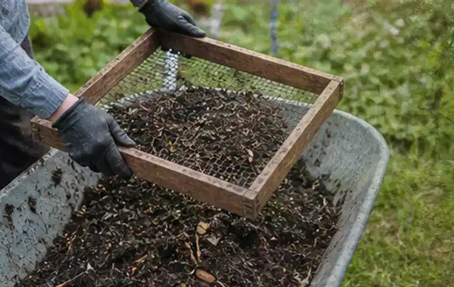 Behandschuhte Hände sieben reifen Kompost über einer Gartenschubkarre; Thema Dill, Schwerpunkt Schnitt; Praxisalltag.