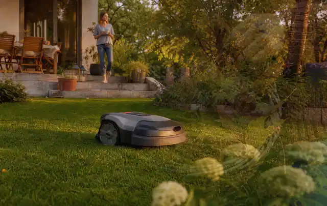 Mähroboter fährt am Abend über einen Rasen im Familiengarten; Thema Dreame A1, Schwerpunkt Anwendung; Umsetzung.