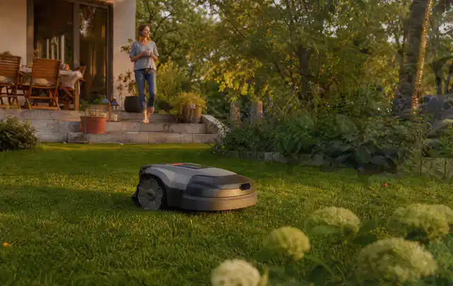 Mähroboter fährt am Abend über einen Rasen im Familiengarten; Thema Dreame A1, Schwerpunkt Bestenliste; Umsetzung.