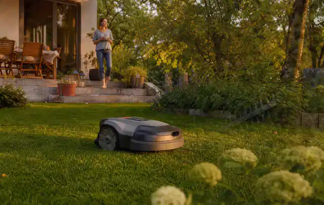 Mähroboter fährt am Abend über einen Rasen im Familiengarten; Thema Dreame A1, Schwerpunkt Checkliste; Ergebnis.