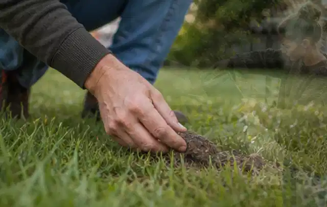 Hand hebt eine kleine Bodenprobe aus einer grünen Rasenfläche; Thema Dreame A1, Schwerpunkt Dimensionierung; Kontrolle.