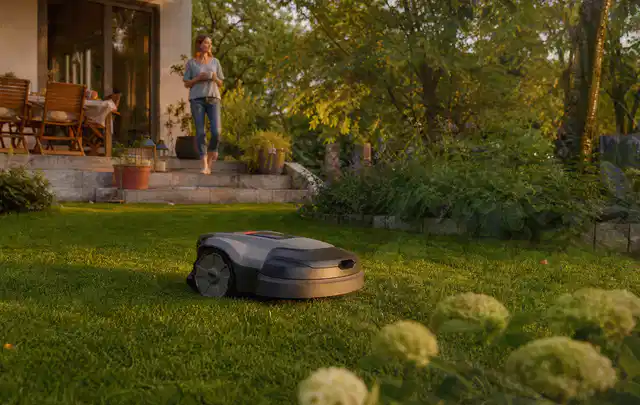 Mähroboter fährt am Abend über einen Rasen im Familiengarten; Thema Dreame A1, Schwerpunkt Ersatzteile; Umsetzung.