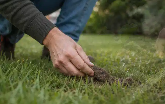 Hand hebt eine kleine Bodenprobe aus einer grünen Rasenfläche; Thema Dreame A1, Schwerpunkt Fehlerhilfe; Ausgangslage.