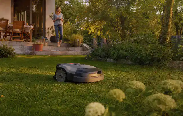 Mähroboter fährt am Abend über einen Rasen im Familiengarten; Thema Dreame A1, Schwerpunkt Gärten mit großer Fläche; Ausgangslage.