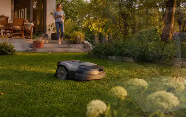 Mähroboter fährt am Abend über einen Rasen im Familiengarten; Thema Dreame A1, Schwerpunkt Kaufberatung; Ausgangslage.