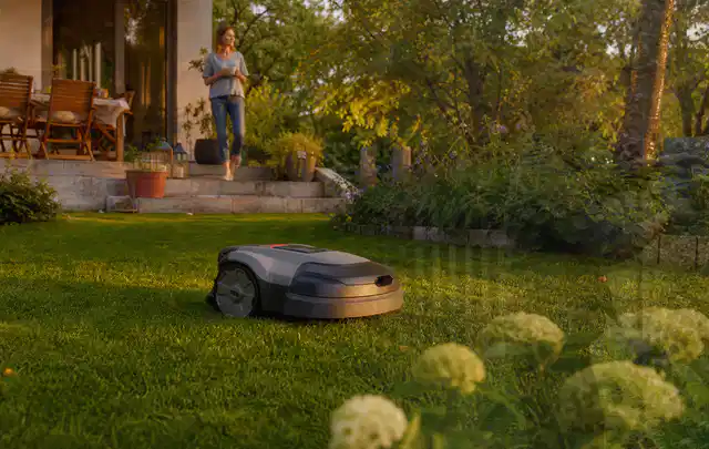 Mähroboter fährt am Abend über einen Rasen im Familiengarten; Thema Dreame A1, Schwerpunkt Kosten; Ergebnis.