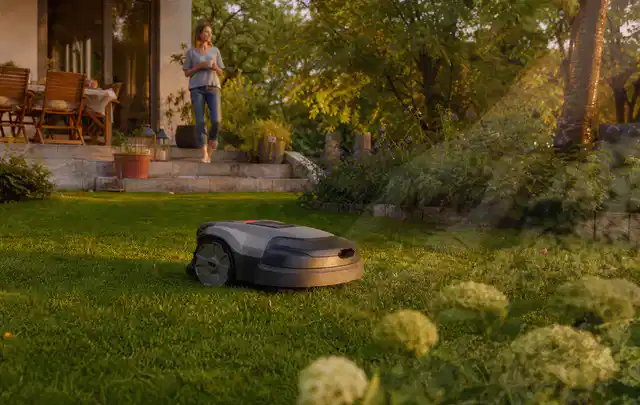 Mähroboter fährt am Abend über einen Rasen im Familiengarten; Thema Dreame A1, Schwerpunkt Leistung; Umsetzung.