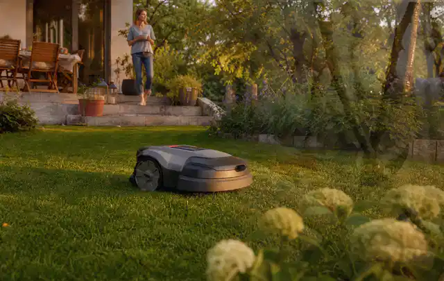 Mähroboter fährt am Abend über einen Rasen im Familiengarten; Thema Dreame A1, Schwerpunkt Mähroboter; Kontrolle.