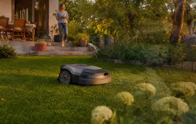 Mähroboter fährt am Abend über einen Rasen im Familiengarten; Thema Dreame A1, Schwerpunkt Reinigung; Ausgangslage.