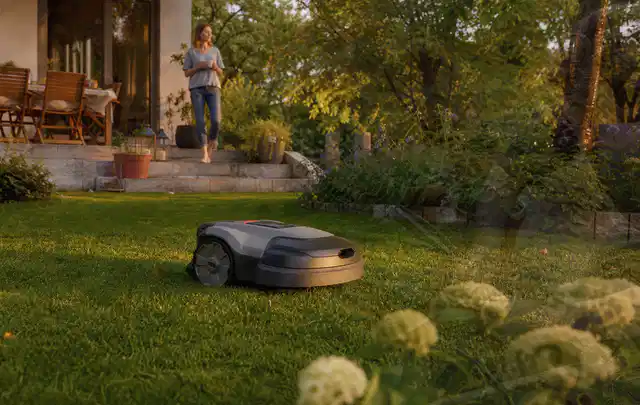 Mähroboter fährt am Abend über einen Rasen im Familiengarten; Thema Dreame A1, Schwerpunkt Testkriterien; Praxisalltag.