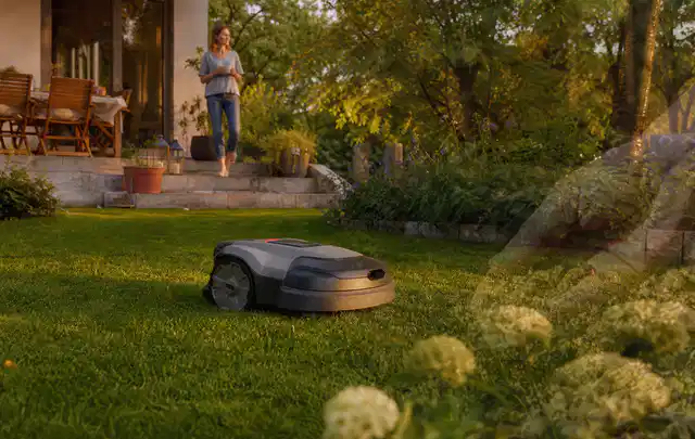 Mähroboter fährt am Abend über einen Rasen im Familiengarten; Thema Dreame A1, Schwerpunkt Vergleich; Umsetzung.
