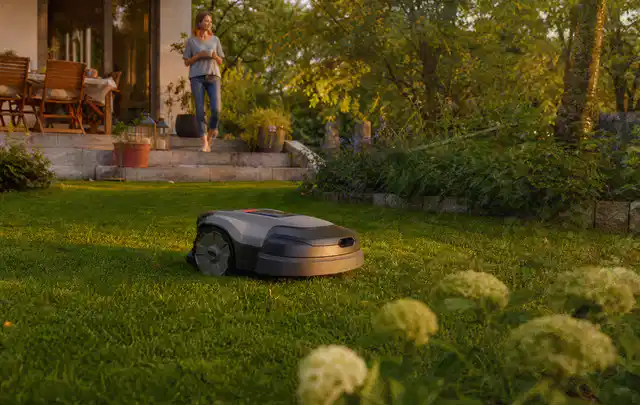 Mähroboter fährt am Abend über einen Rasen im Familiengarten; Thema Ecovacs Goat, Schwerpunkt Anwendung; Kontrolle.