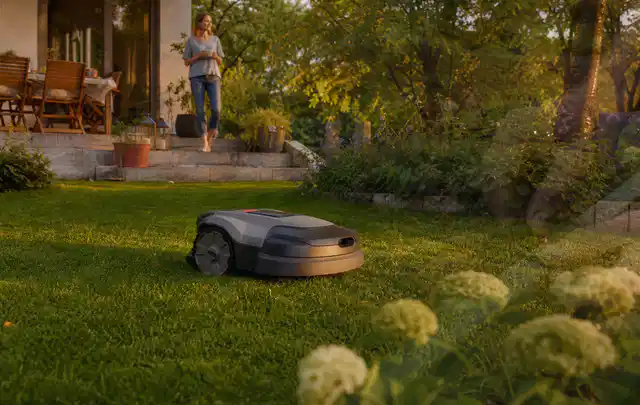 Mähroboter fährt am Abend über einen Rasen im Familiengarten; Thema Ecovacs Goat, Schwerpunkt Bestenliste; Ergebnis.