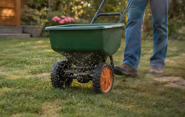 Person verteilt Rasensamen mit einem Streuwagen auf einer lückigen Fläche; Thema Ecovacs Goat, Schwerpunkt Checkliste; Umsetzung.