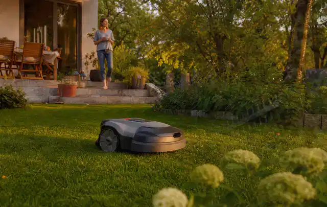 Mähroboter fährt am Abend über einen Rasen im Familiengarten; Thema Ecovacs Goat, Schwerpunkt Ersatzteile; Umsetzung.